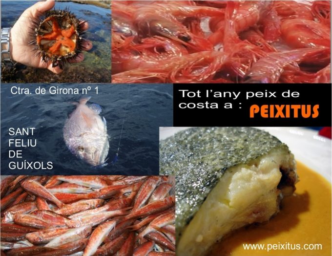 Peixitus pescaderia Sant Feliu de Guixols