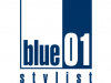 Blue 01 Stylist Peluquerías Unisex Sant Boi De Llobregat