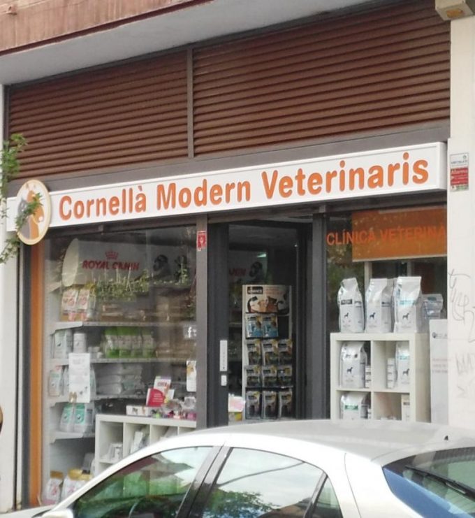 guia33-cornella-peluqueria-canina-cornella-modern-veterinaris-15130.jpg