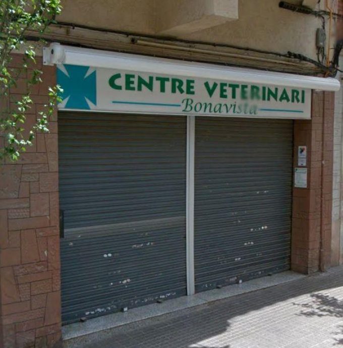 guia33-cornella-veterinario-centre-veterinari-bonavista-cornella-17670.jpg