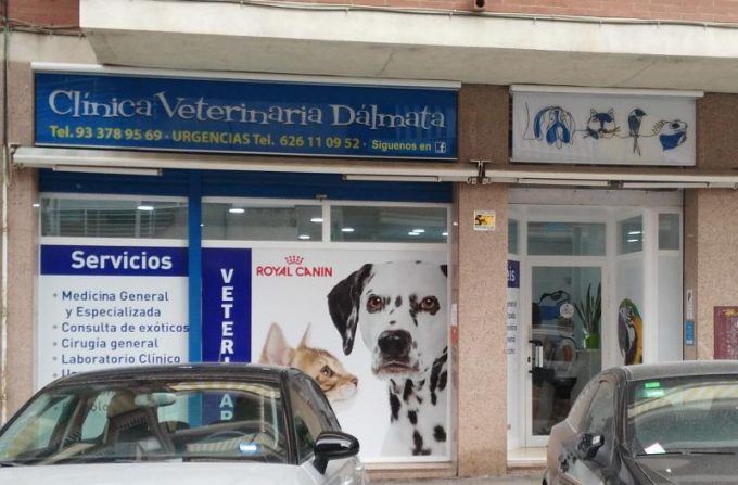 guia33-el-prat-de-llobregat-veterinario-clinica-veterinaria-dalmata-el-prat-16195.jpg