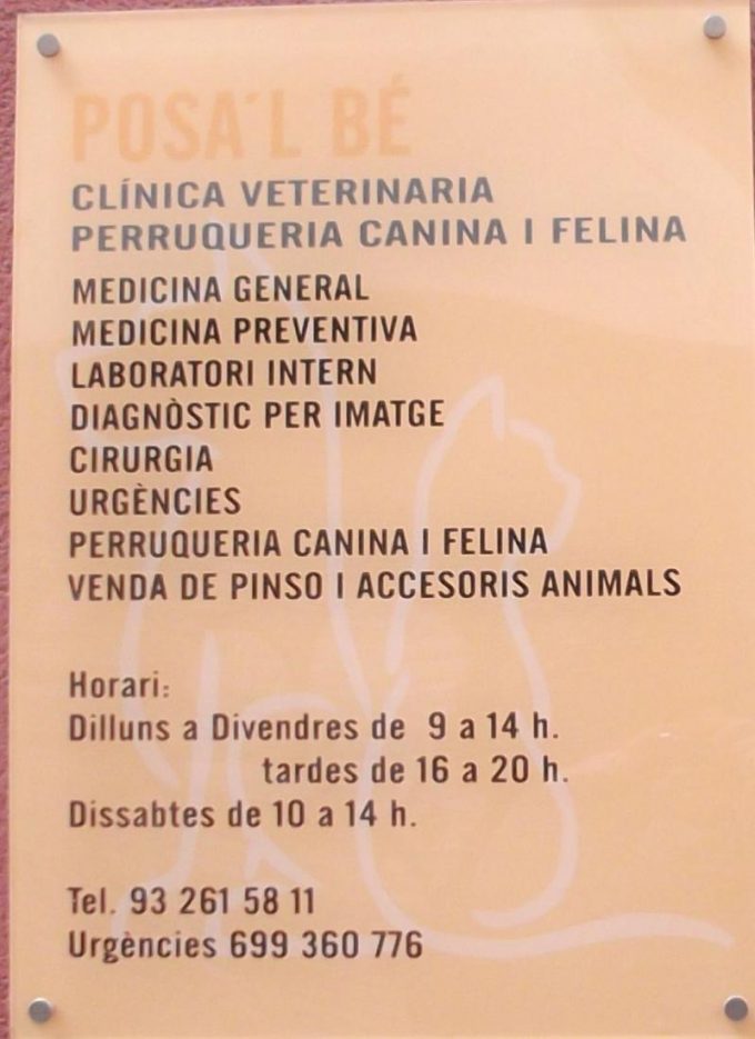 guia33-hospitalet-de-llobregat-peluqueria-canina-posa-l-be-4844.jpg