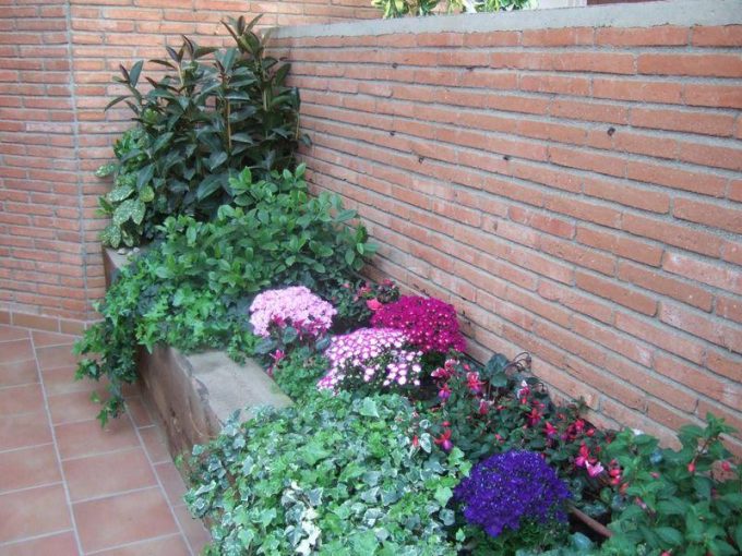 guia33-sant-just-desvern-floristeria-jardineria-jardiflor-6922.jpg