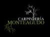 guia33-torrelles-carpinteria-ebanisteria-carpinteria-y-ebanisteria-monteagudo-8410.jpg