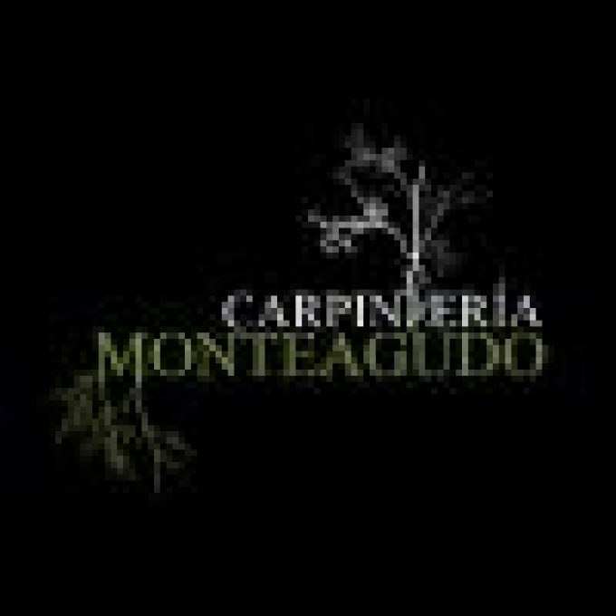 guia33-torrelles-carpinteria-ebanisteria-carpinteria-y-ebanisteria-monteagudo-8410.jpg
